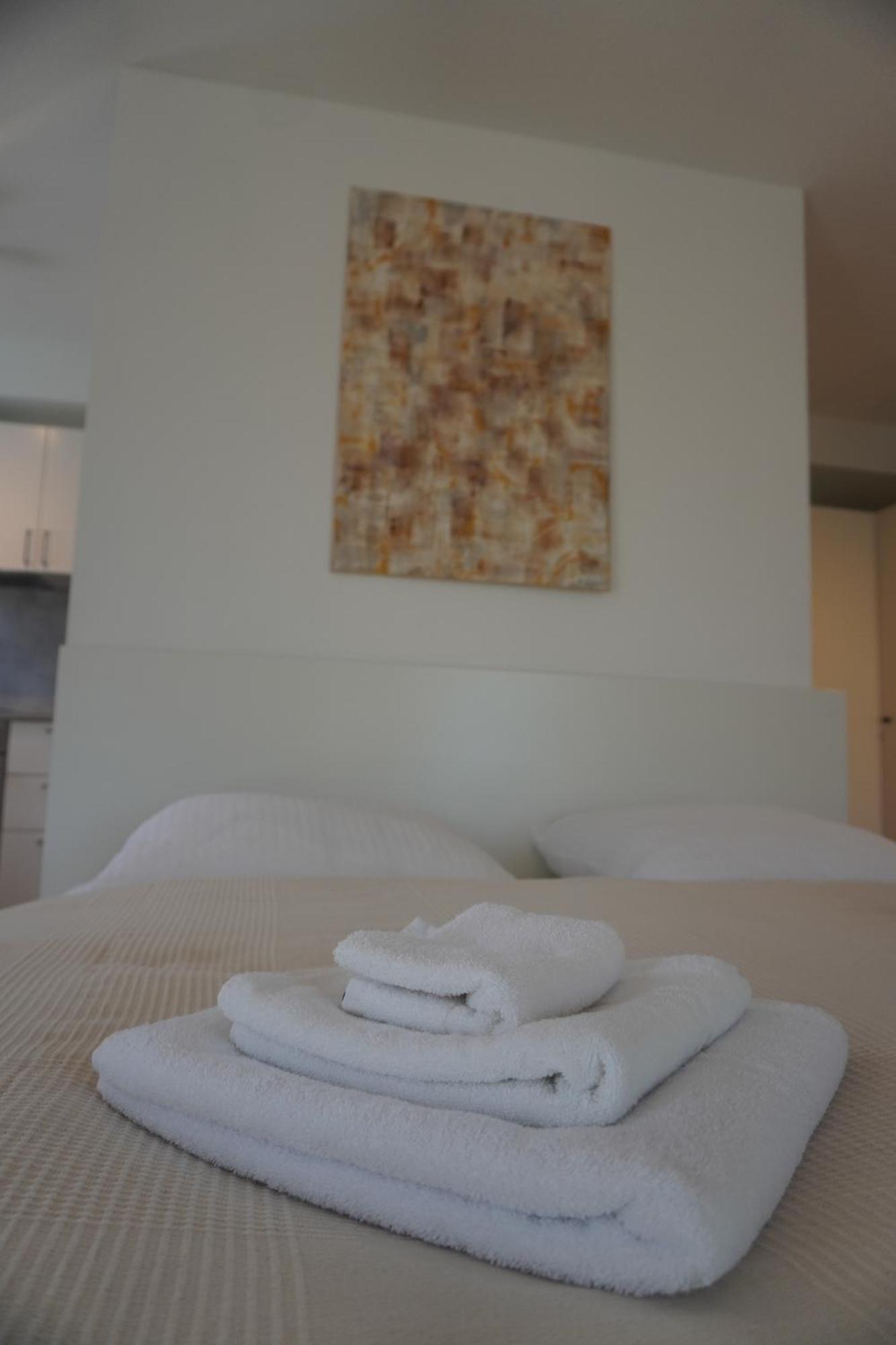 מיינץ Hb-Living Apartment-Rheinblick מראה חיצוני תמונה